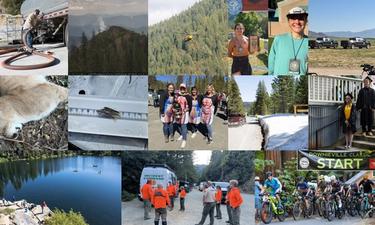 2025 – A Year in Review