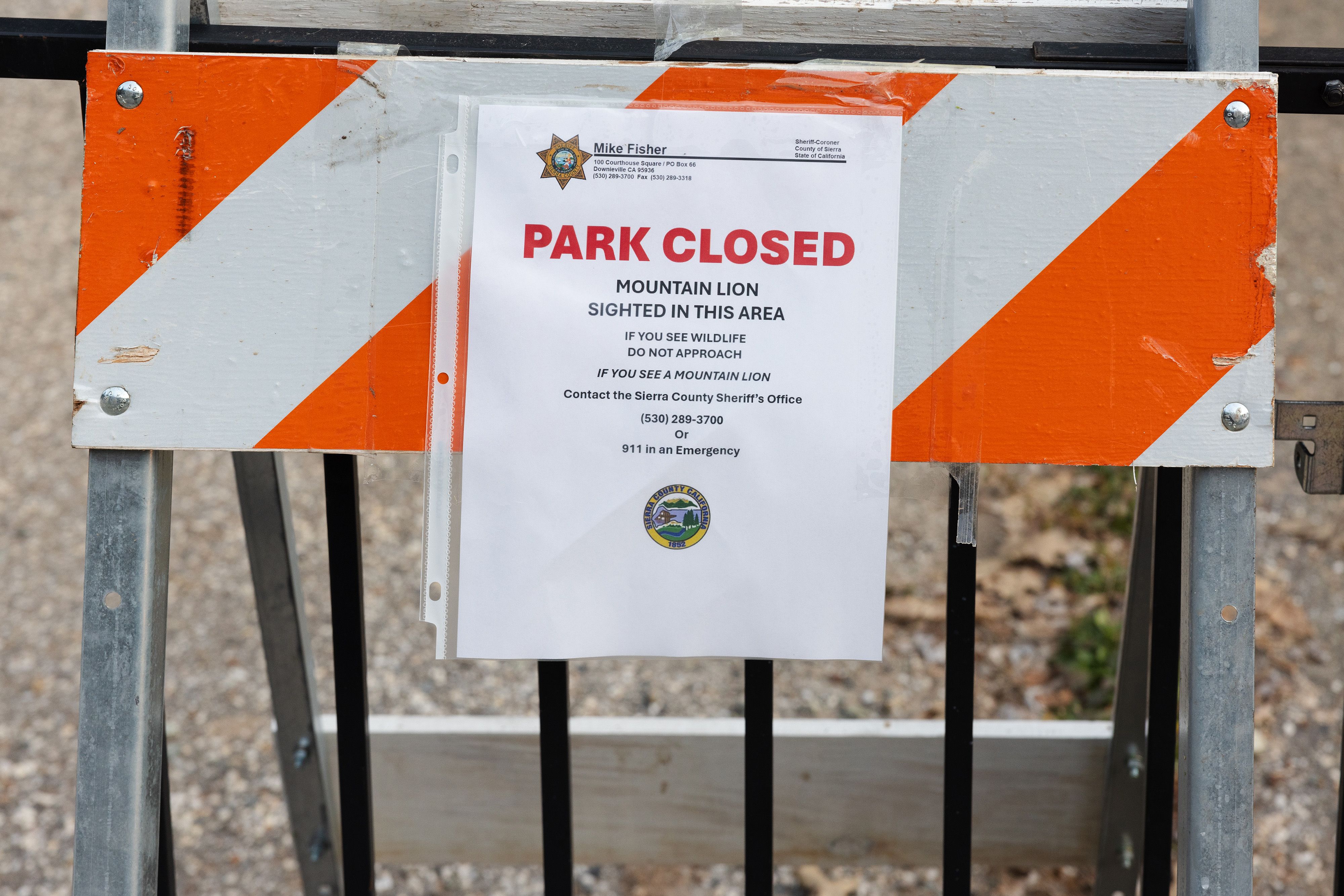 Notice posted at the Downieville playground next to the tennis court at the direction of the Sheriff’s Department
