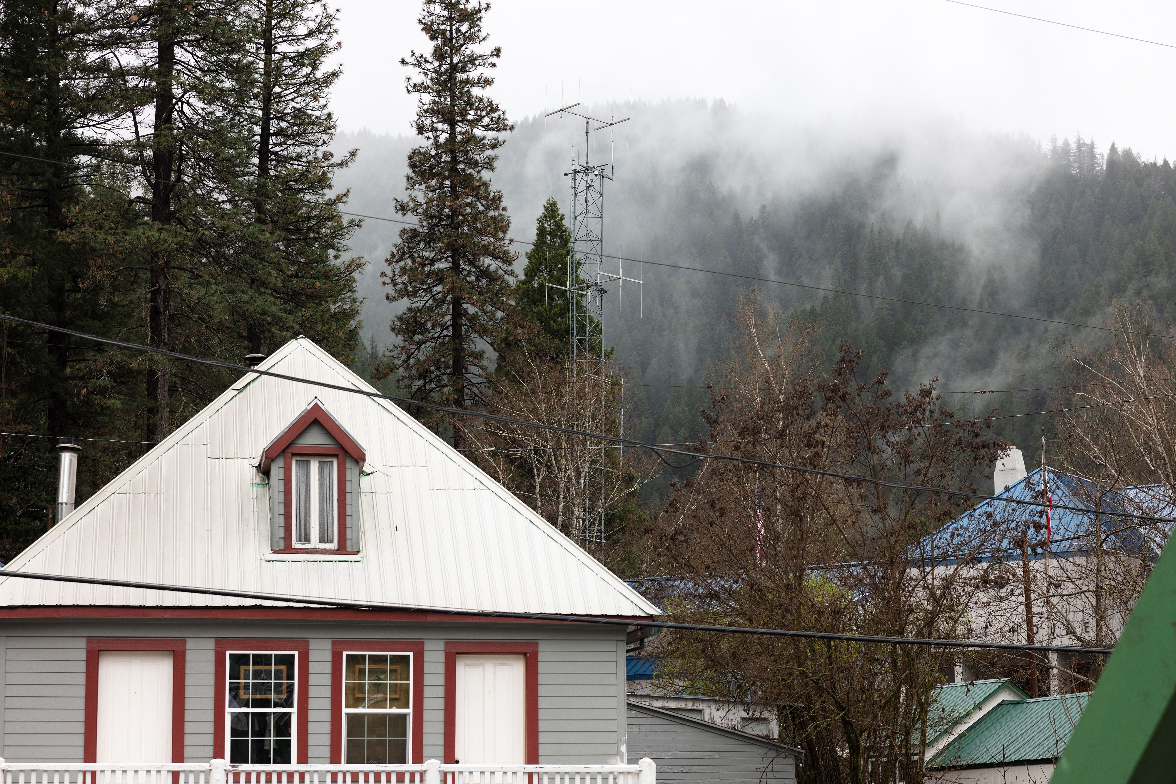 The tower and camera viewed from Durgan Bridge.