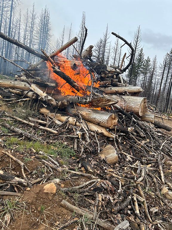 A test fire was lighted on the Beckwourth Ranger District Tuesday morning. Photo courtesy of Plumas National Forest.
