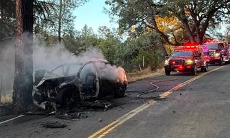Two Hospitalized After Audi Strikes Magnolia Road Tree