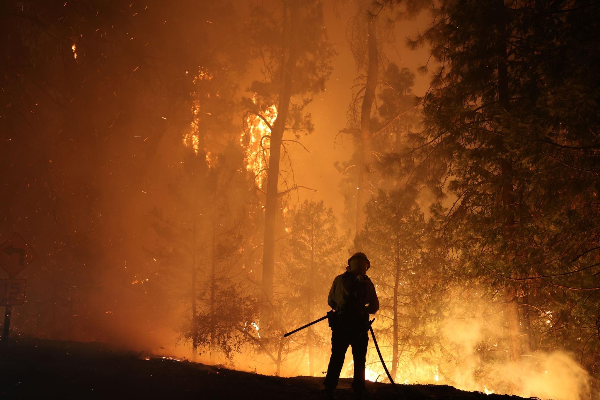 A Cal Fire firefighter responds to the Mosquito Fire in September. Photo courtesy of Cal Fire.