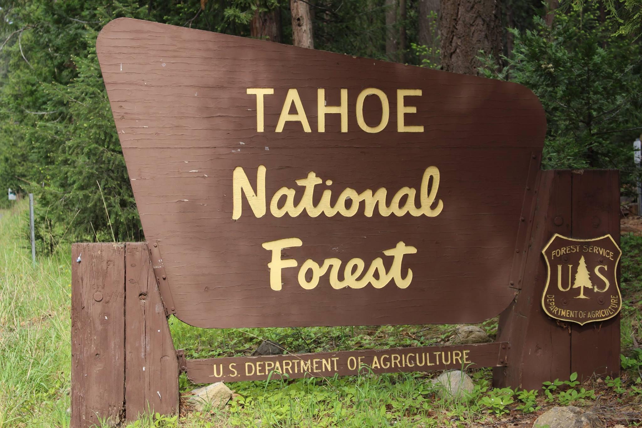 Restrictions have been relaxed for fires at Tahoe National Forest campgrounds.