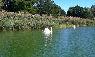 Seasons End in the Hamptons