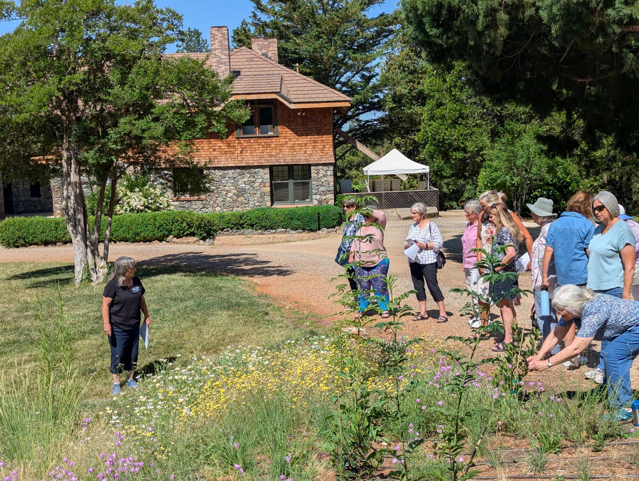 Lead Gardener Paula Campbell (black t-shirt) shares developments in The North Star House’s expansive grounds with the Lake Wildwood Garden Club.