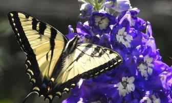 Down in the Garden! — Part 2