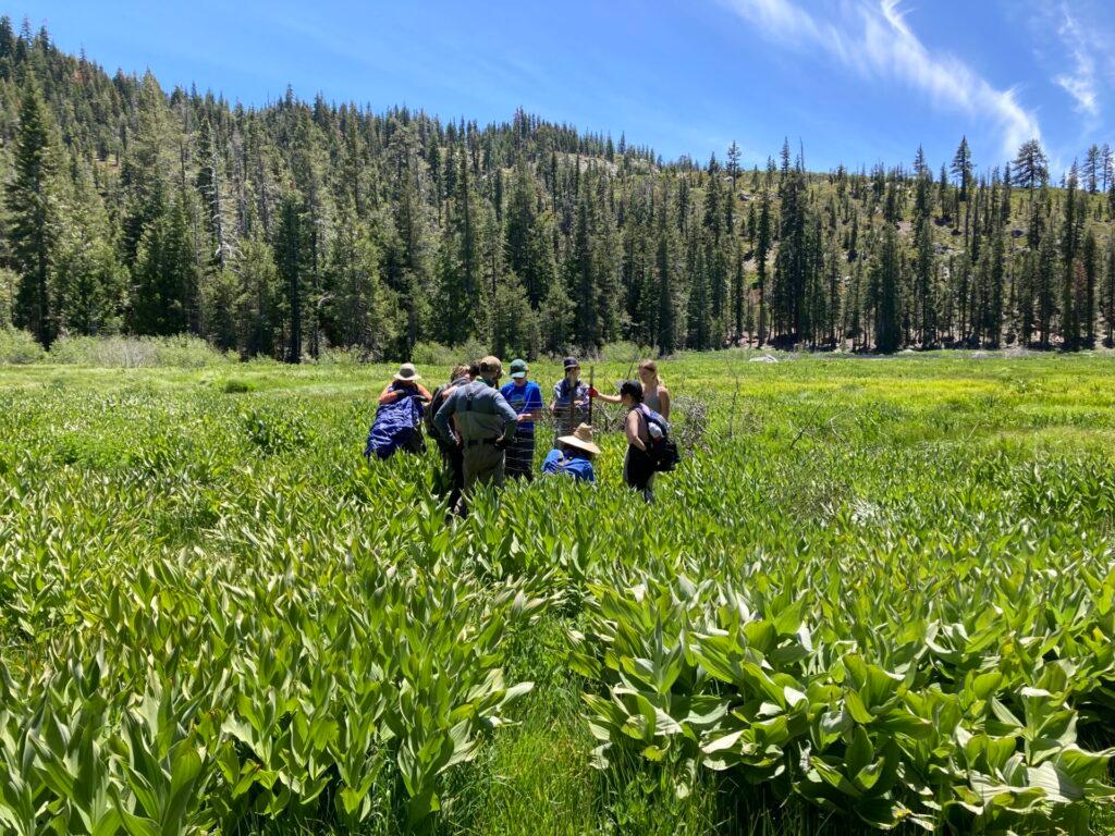 A YOLO expedition installs fencing