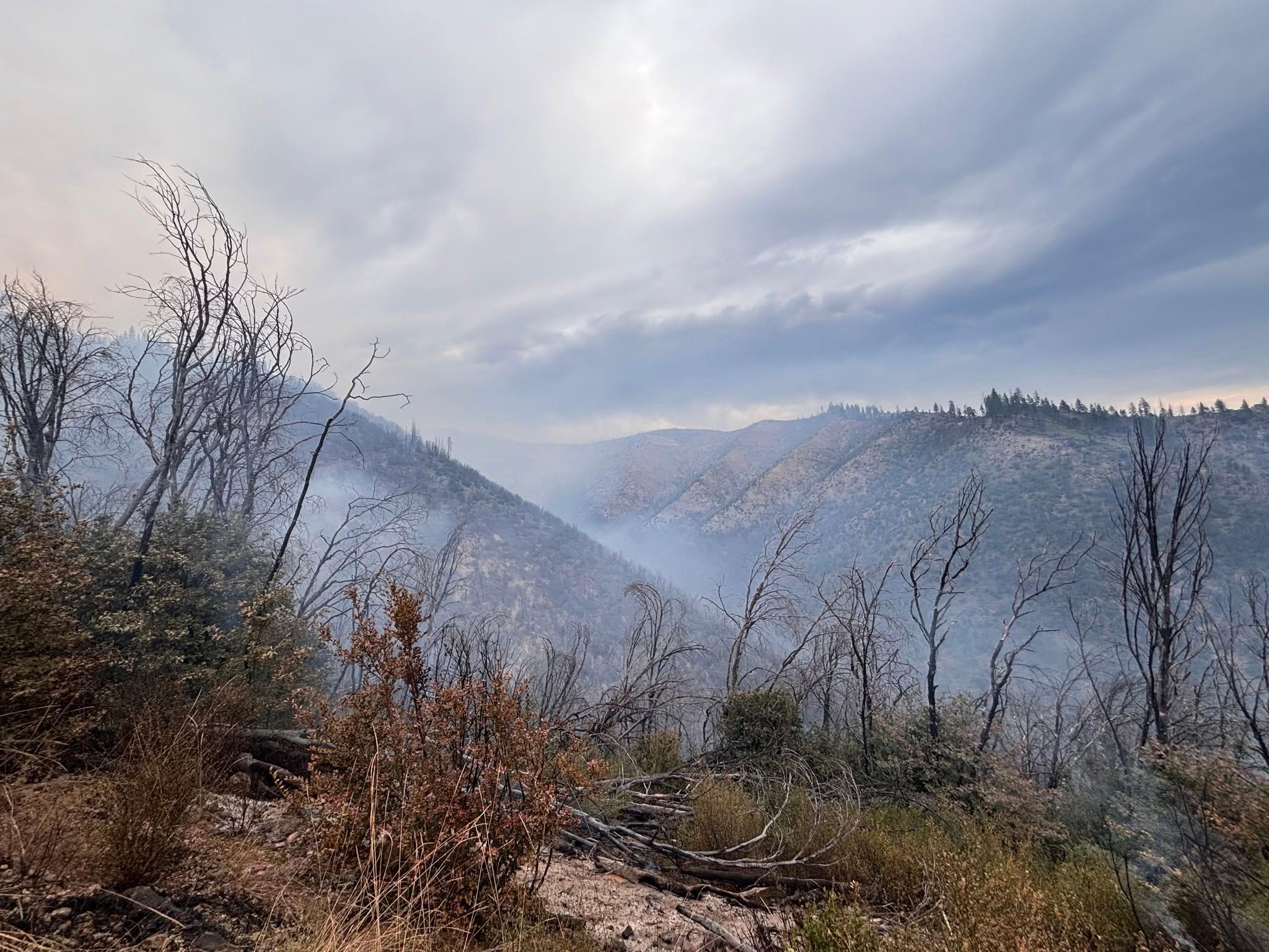 Smoke from the Twain Fire on the Plumas National Forest in July. Photo: Plumas National Forest.