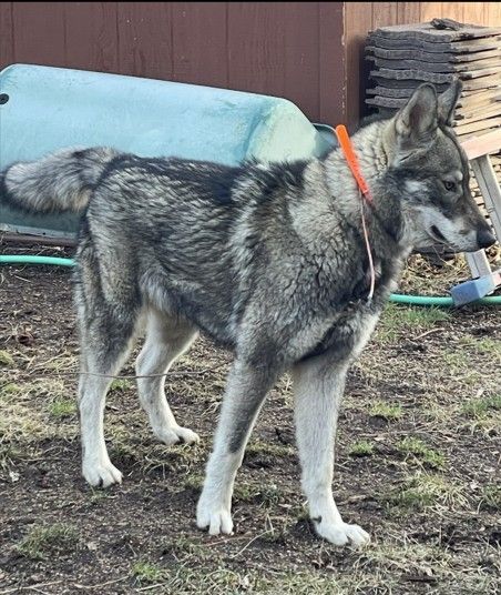 This picture of Benson was released by the Sheriff’s Office.