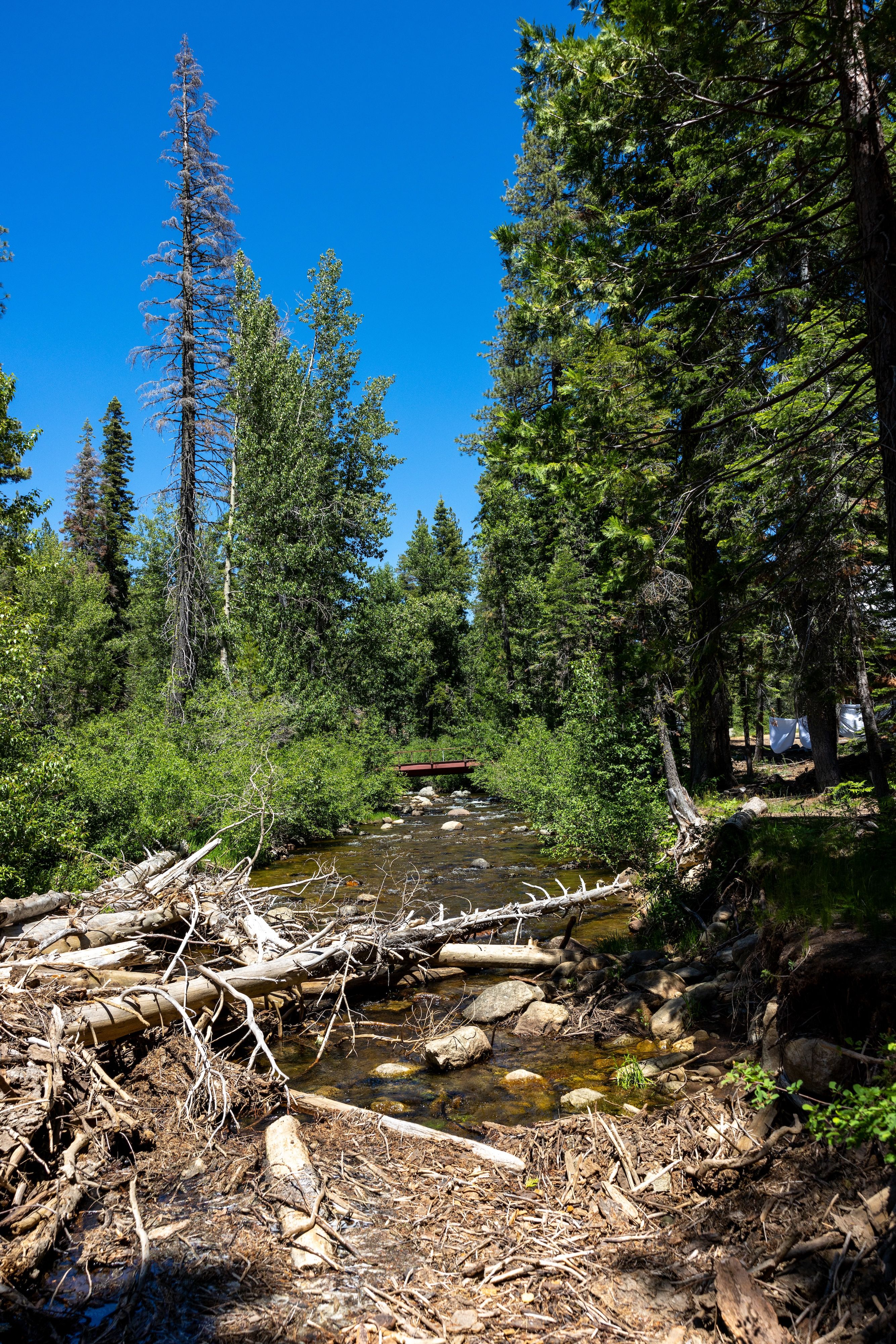 View of the camp’s bridge from a camping site on the North Yuba River