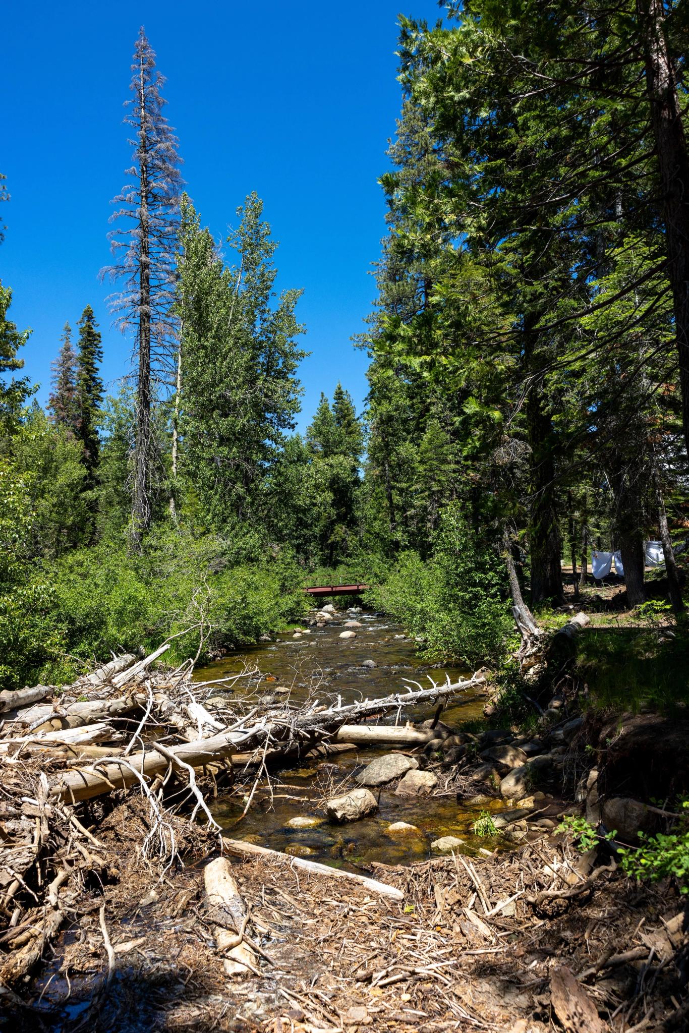 View of the camp’s bridge from a camping site on the North Yuba River