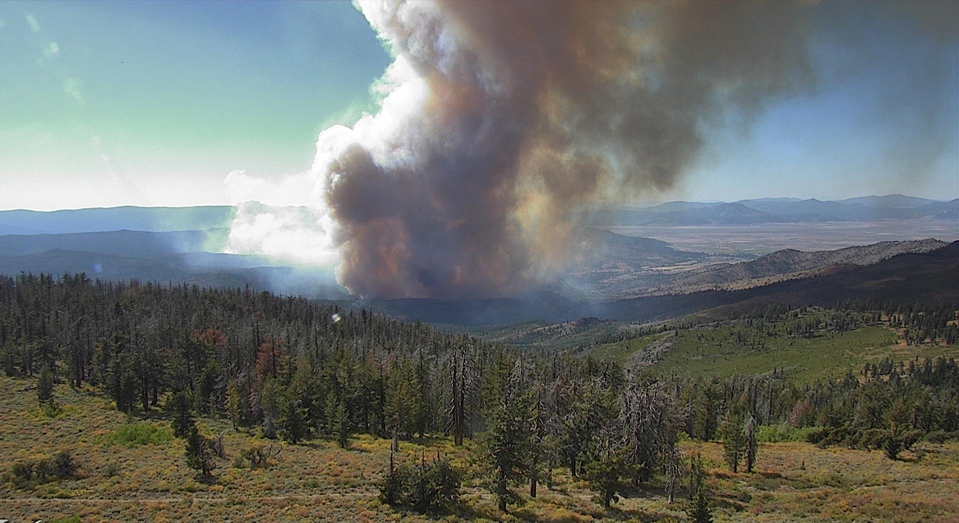The Bear Fire erupts near Sierra Brooks in eastern Sierra County