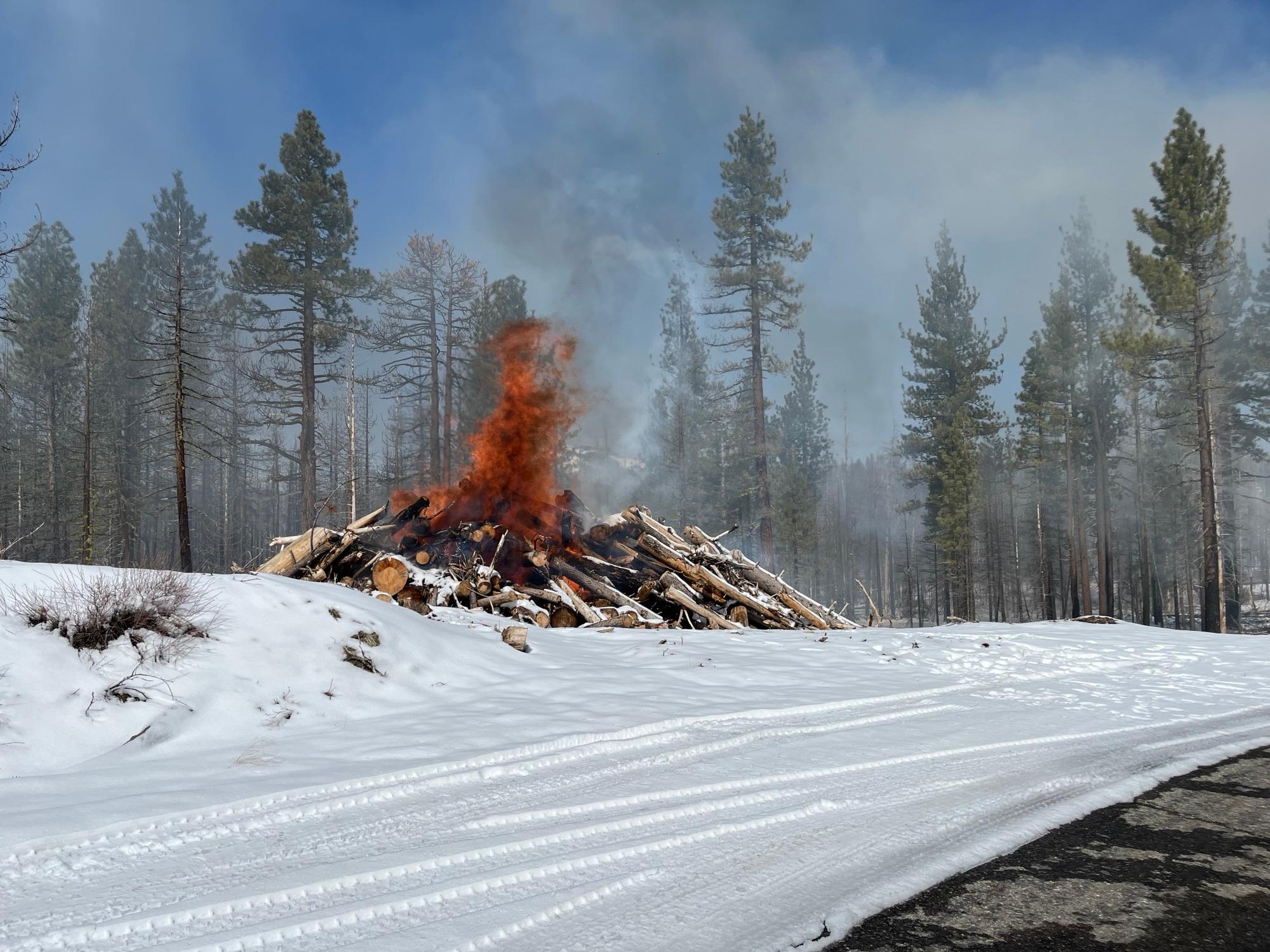 Pile burning occurred this week in the Plumas National Forest near Janesville. Photos courtesy of Plumas National Forest.