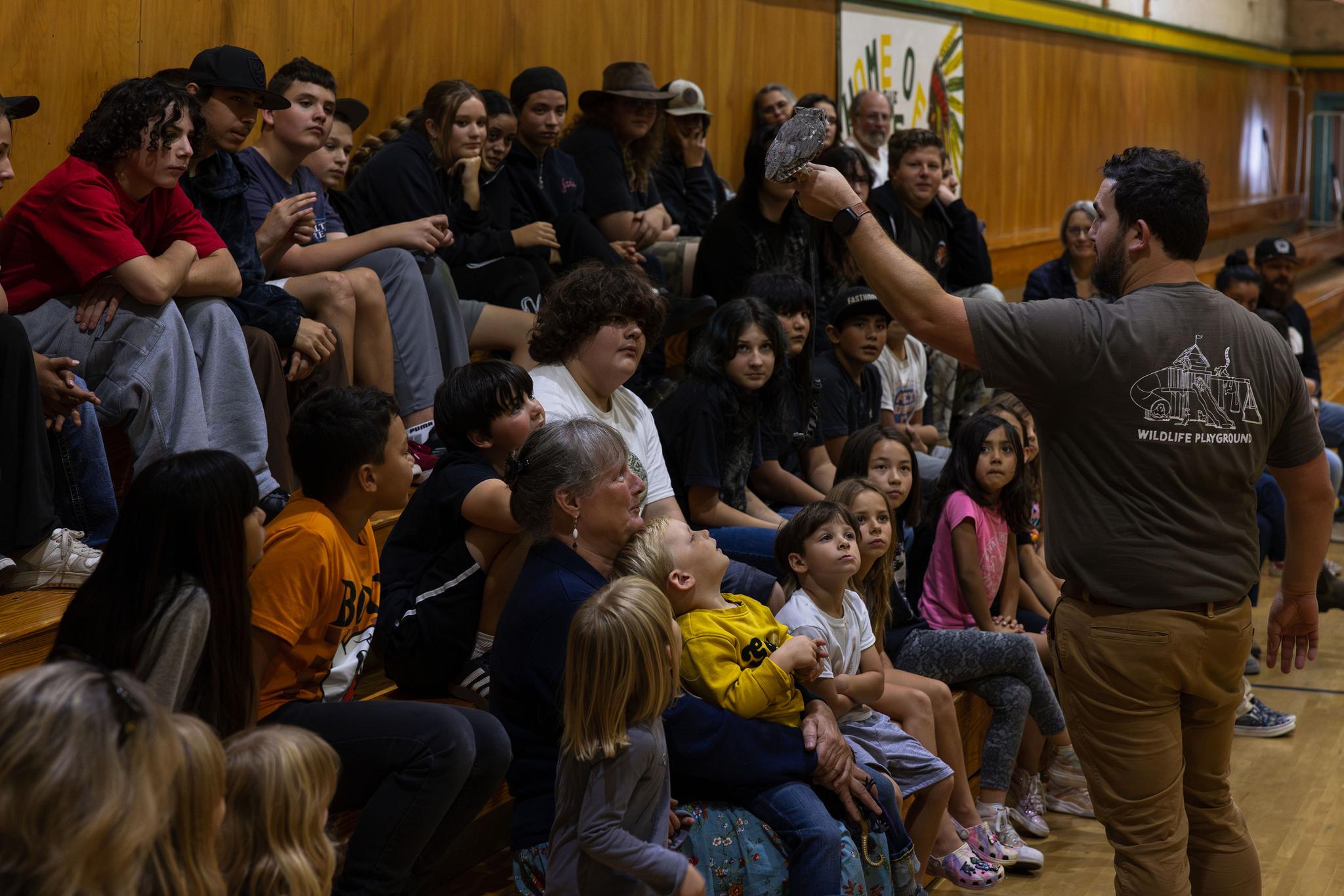 Students get a close-up view of Boo the western screech owl.