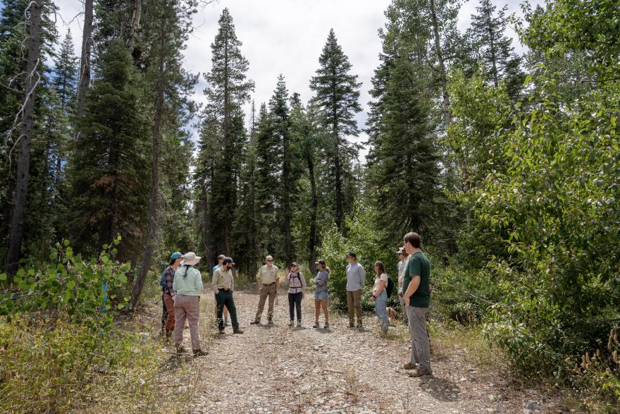 During a North Yuba Forest Partnership field tour, partners discuss active and upcoming projects ranging from fuels reduction to meadow restoration. The partnership continually works together to secure funding to plan and implement forest restoration work. (Photo courtesy of North Yuba Forest Partnership member Blue Forest)