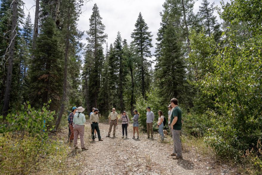 During a North Yuba Forest Partnership field tour, partners discuss active and upcoming projects ranging from fuels reduction to meadow restoration. The partnership continually works together to secure funding to plan and implement forest restoration work. (Photo courtesy of North Yuba Forest Partnership member Blue Forest)