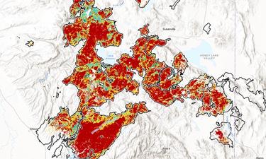 Cal Fire Launches Vegetation Burn Severity Viewer