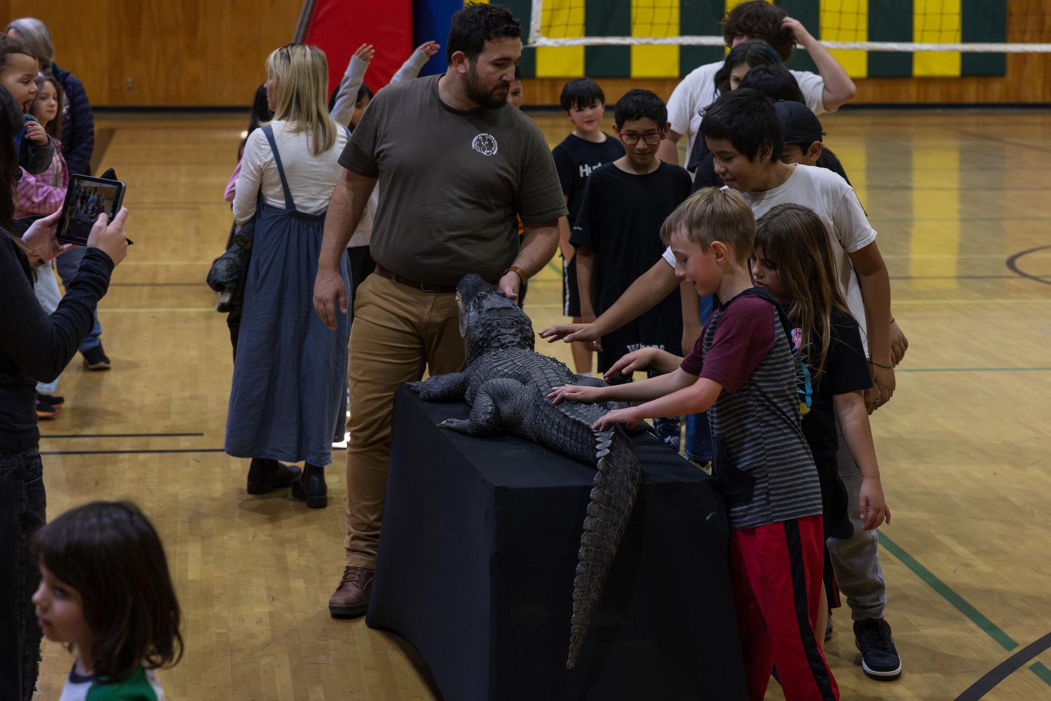 Students pet an alligator at Monday’s Wild Things assembly.