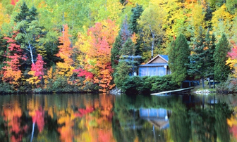 Shoutouts From Maine