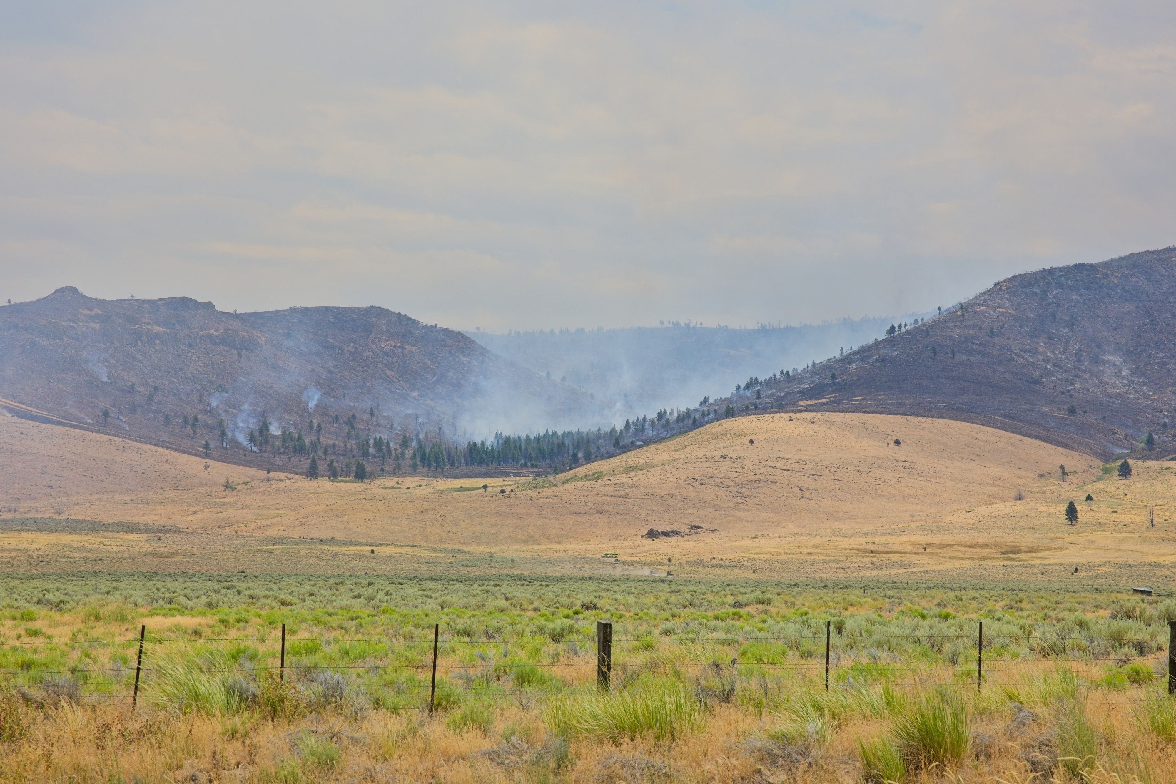 Elephant Fire Grows to 12,303 Acres Near Loyalton