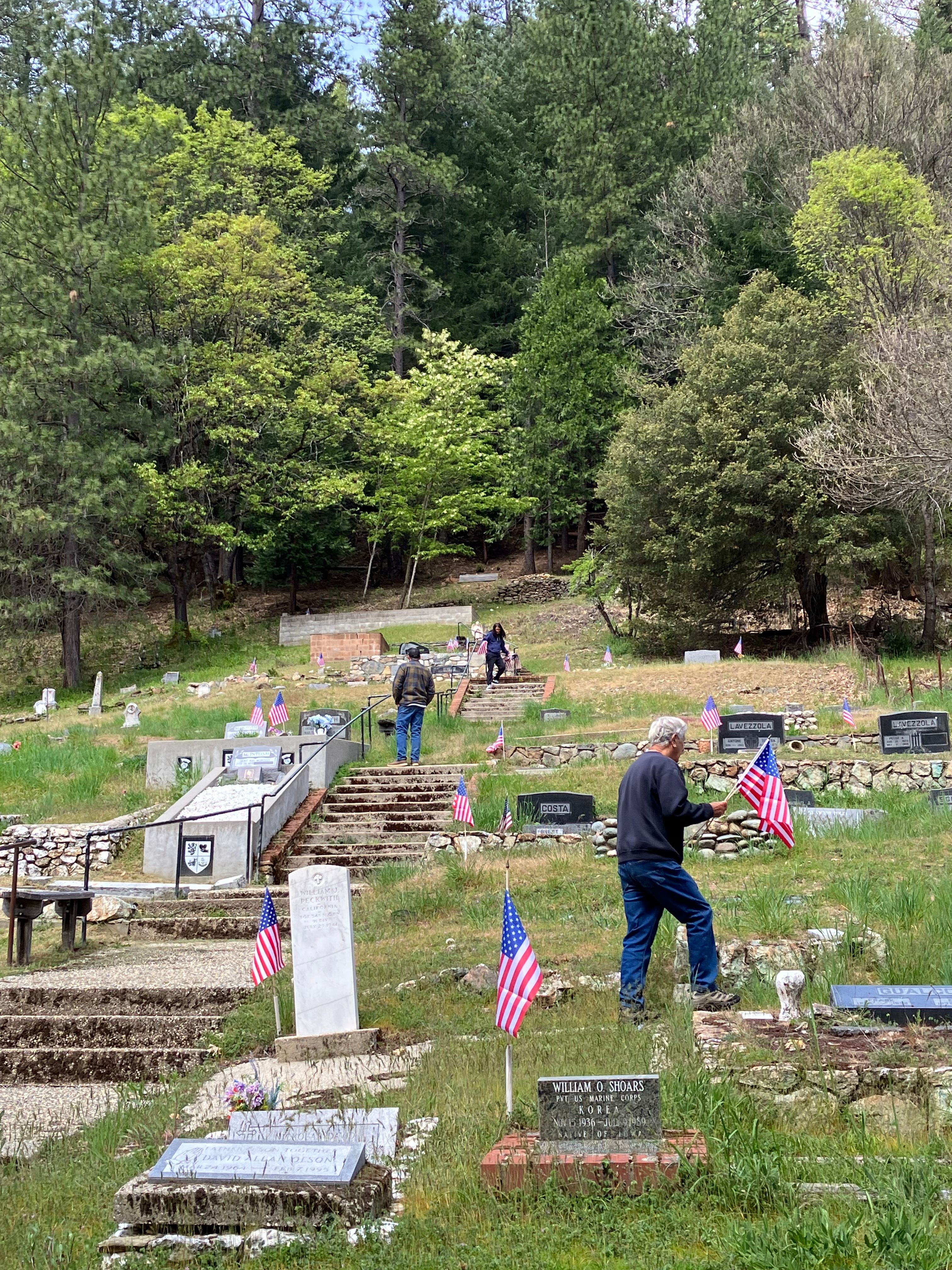The David Marshall family place flags at the Downieville Cemetery.