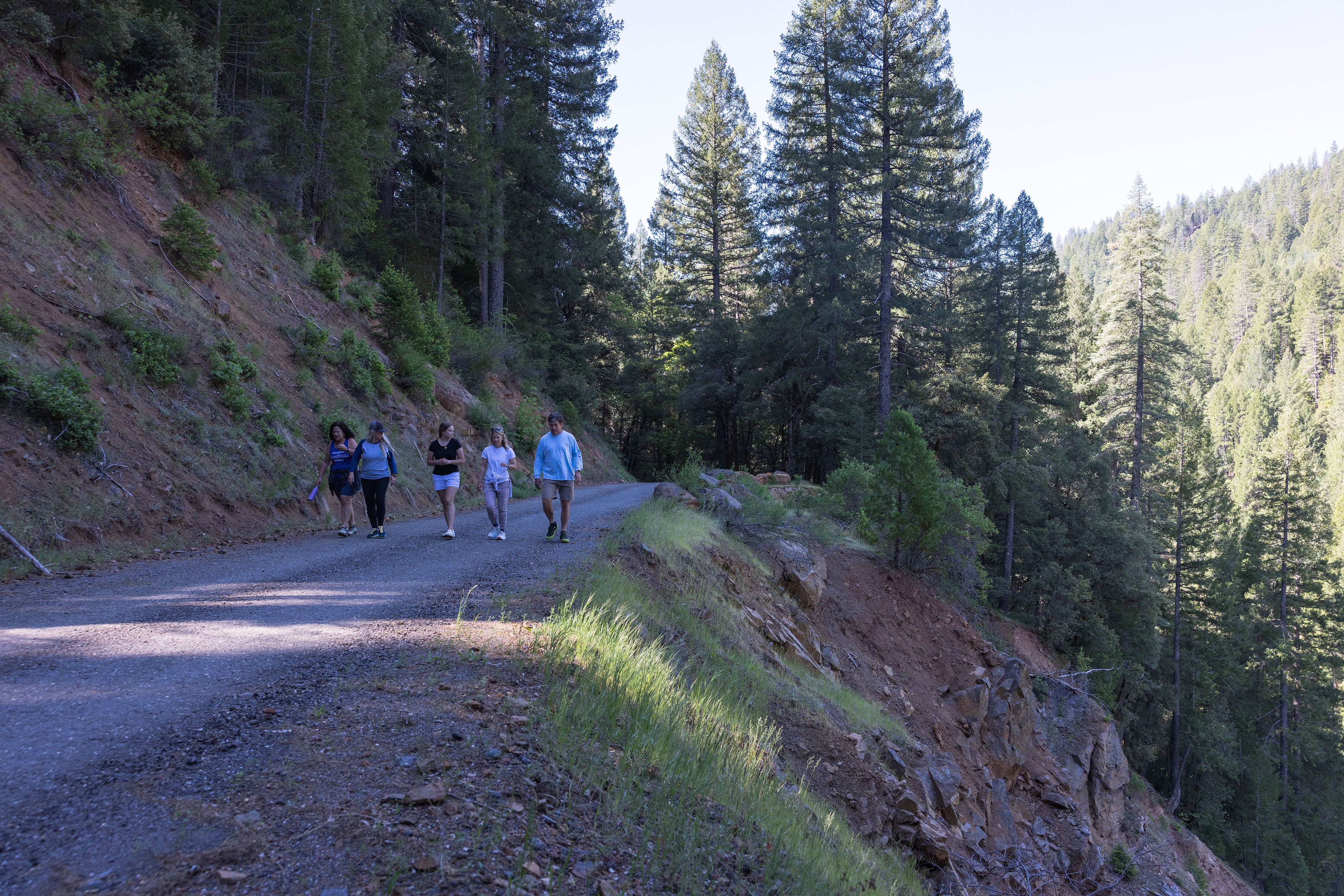 A group makes its way up Lavezzola Road.
