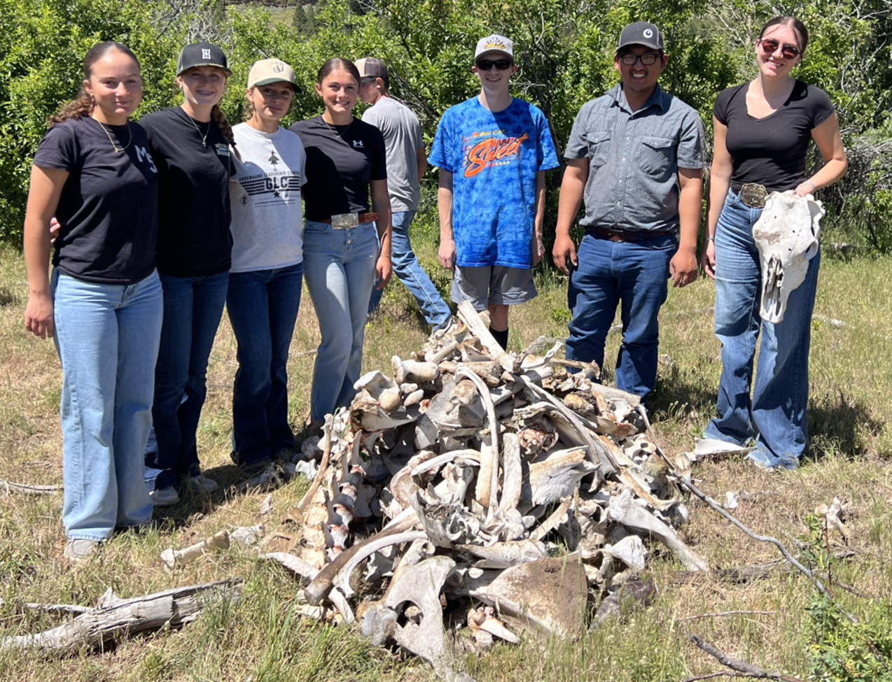 FFA Students Join Sheriff in Ranch Cleanup Drill
