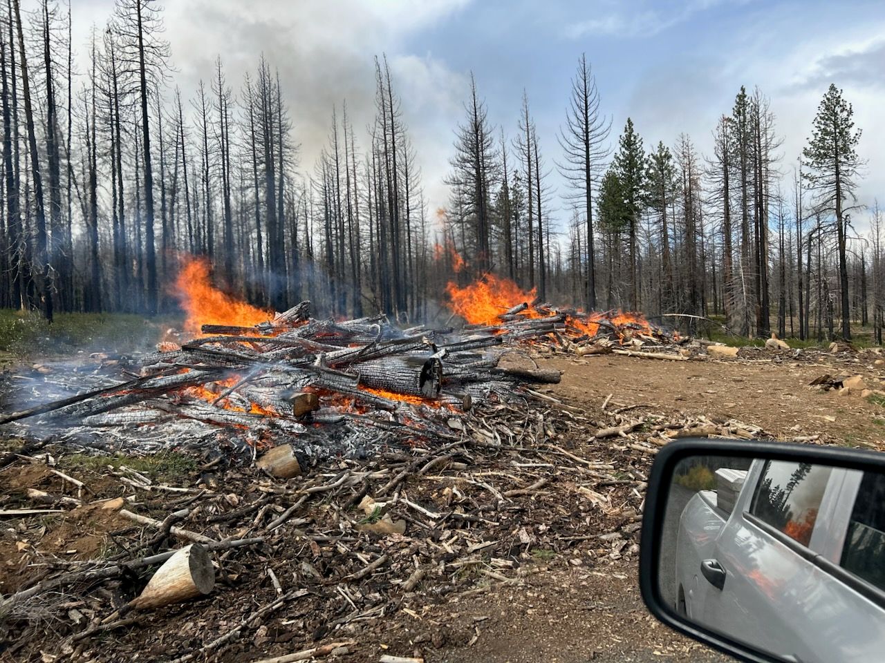 Plumas National Forest Begins Pile Burning Operations