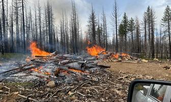 Plumas National Forest Begins Pile Burning Operations