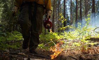 Tahoe National Forest Plans Prescribed Burns Starting October 1