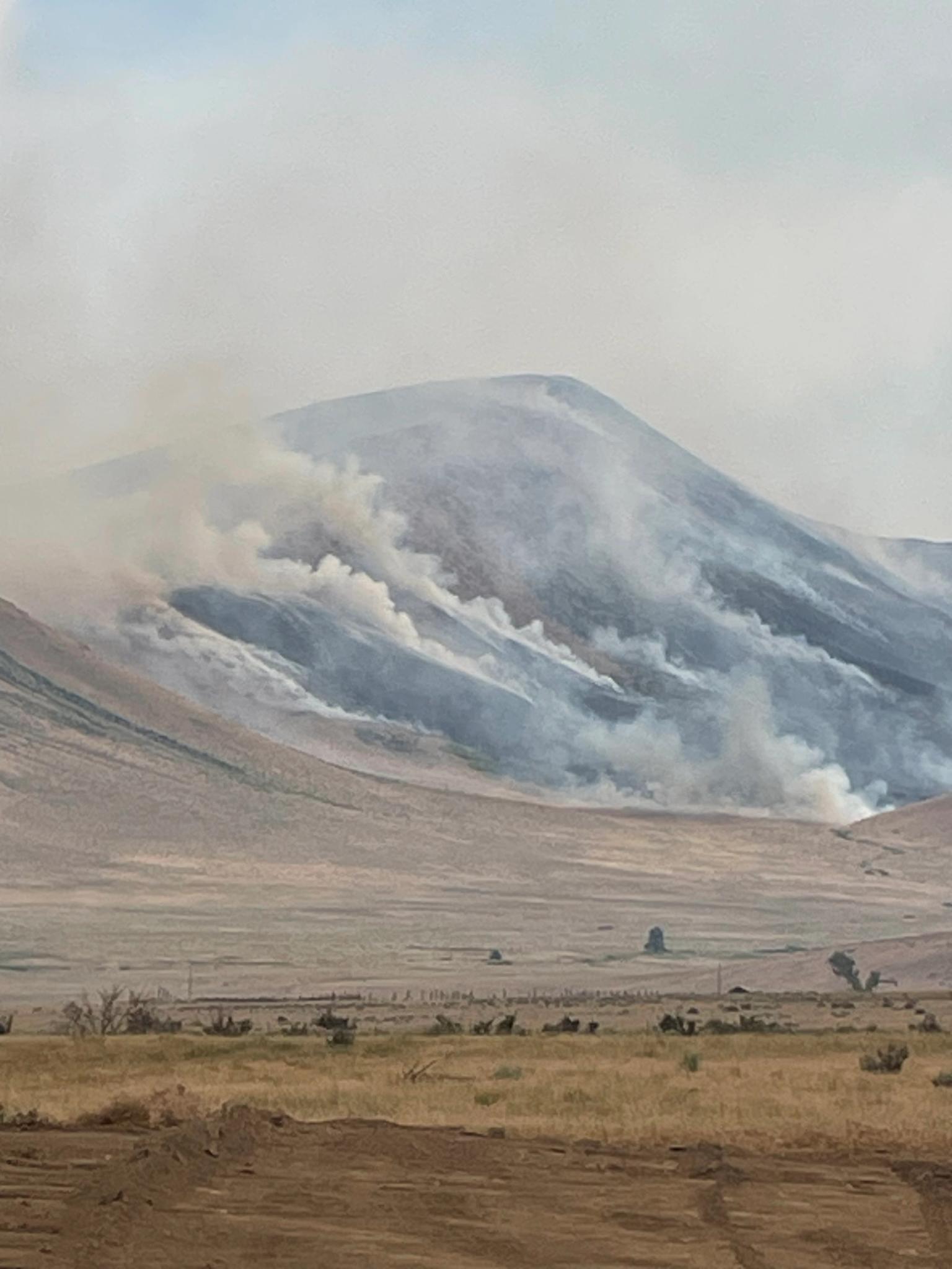 The Elephant Fire burns near Loyalton. Photo: Dana Loomis.