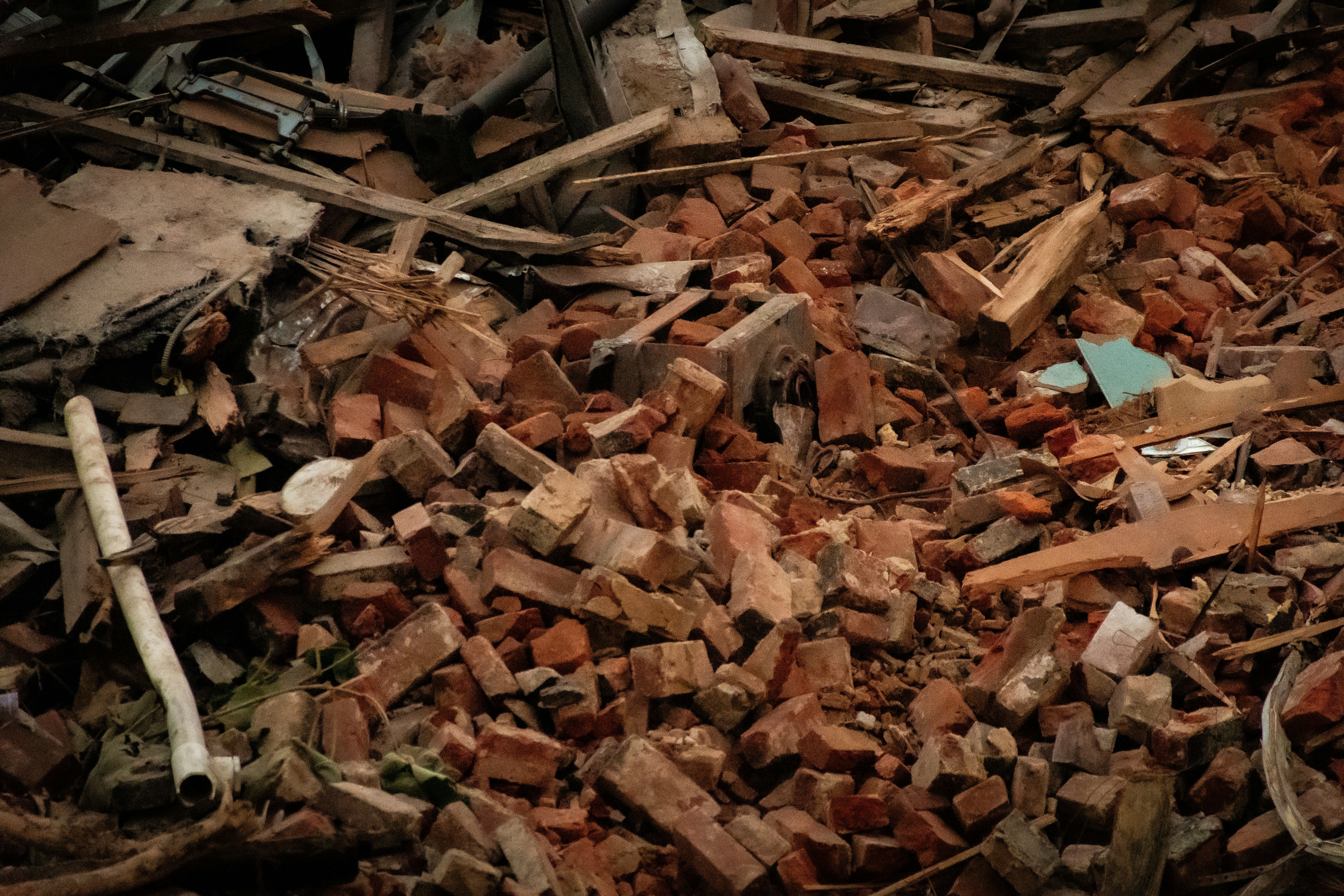 Portola Neighbors Team Up for Firewise Yard Cleanup Event