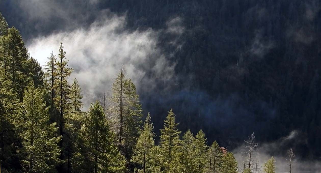 Morning Mists above the North Yuba River Canyon