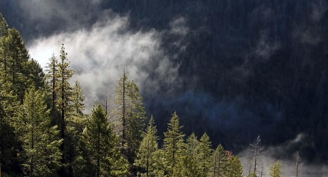Morning Mists above the North Yuba River Canyon