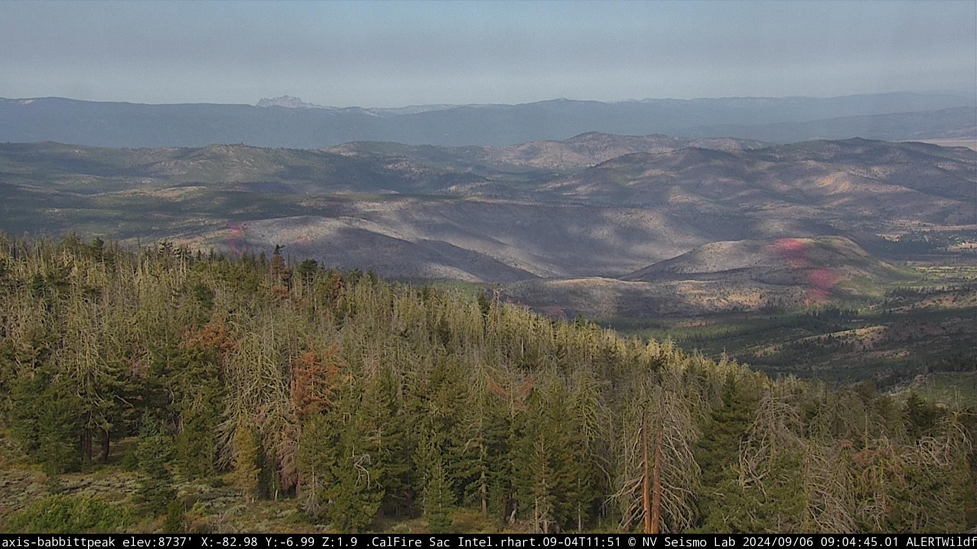 Camera on Babbitt Peak shows no signs of fire activity on Friday, September 6th, at 9:04 AM. Image from ALERTCalifornia.