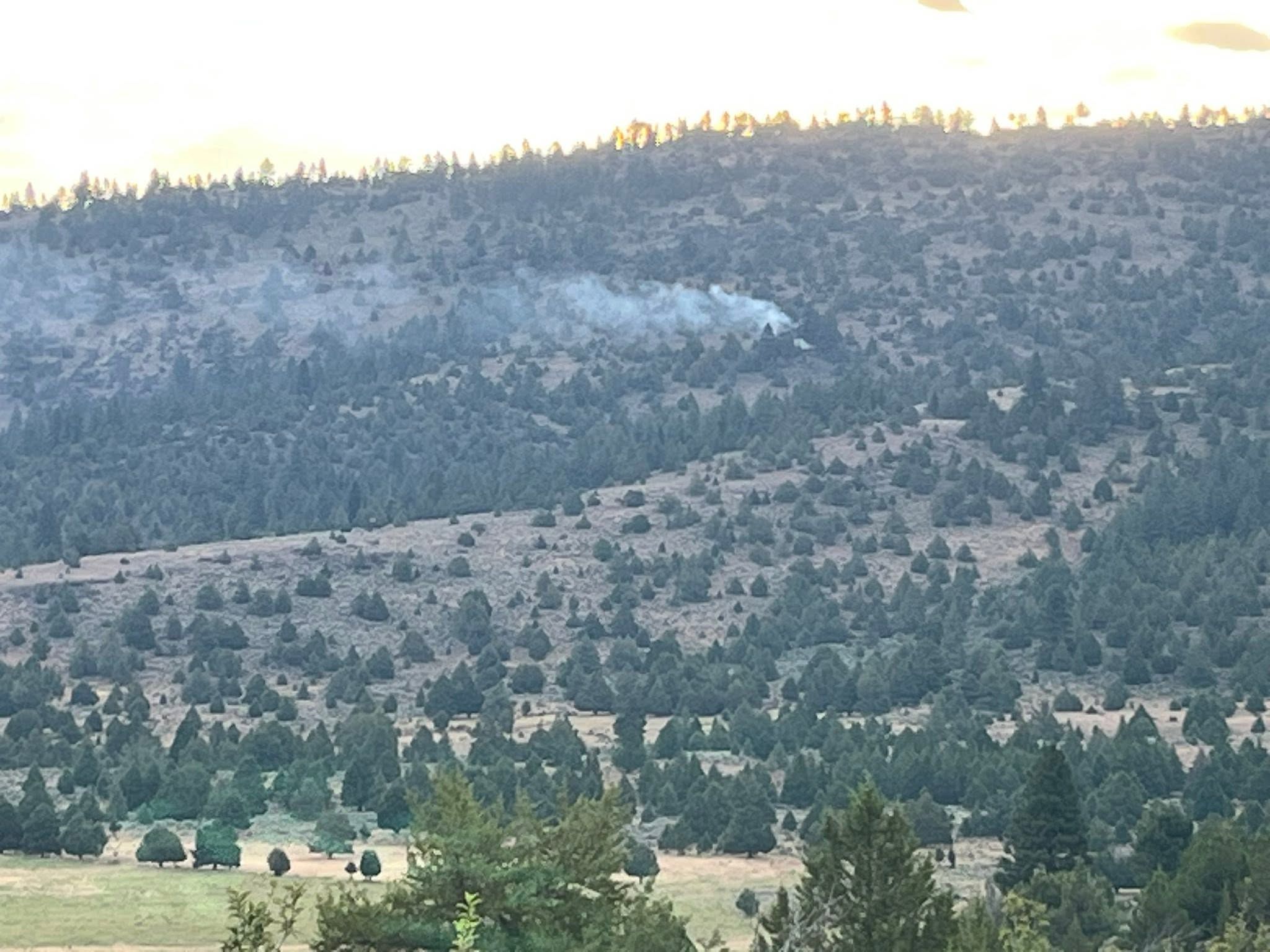 Lightning-Sparked Newman Fire Reported in Sierra Valley
