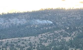 Lightning-Sparked Newman Fire Reported in Sierra Valley