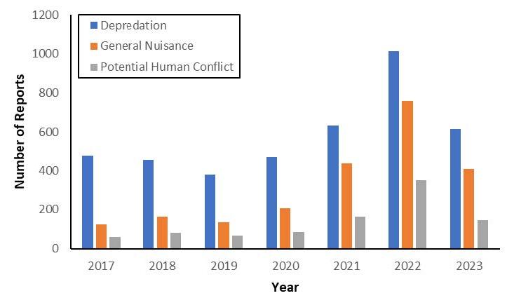 Human-black bear conflict reports increased from 2017 to 2023.