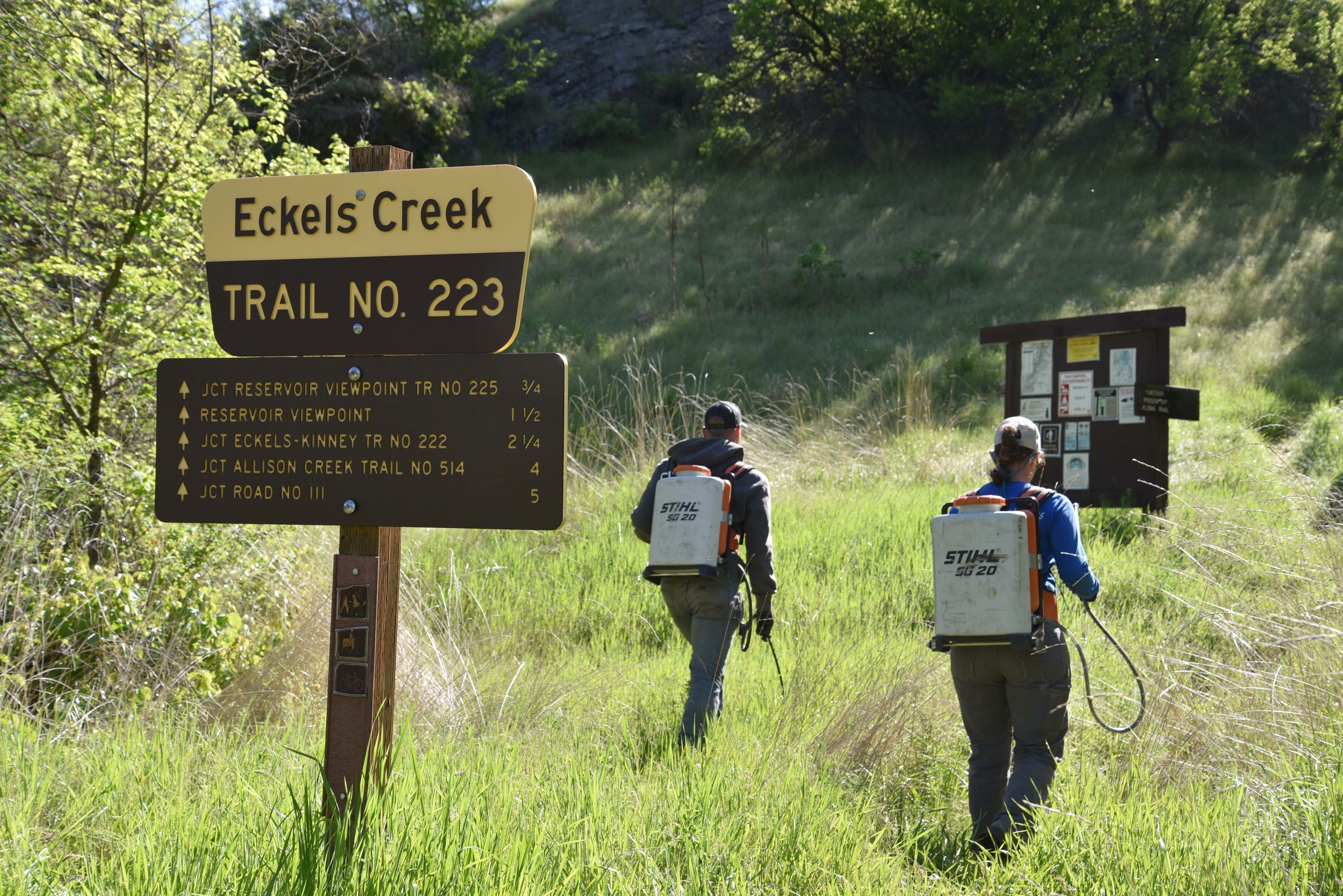 Concerns Raised About Herbicide Spraying in National Forest