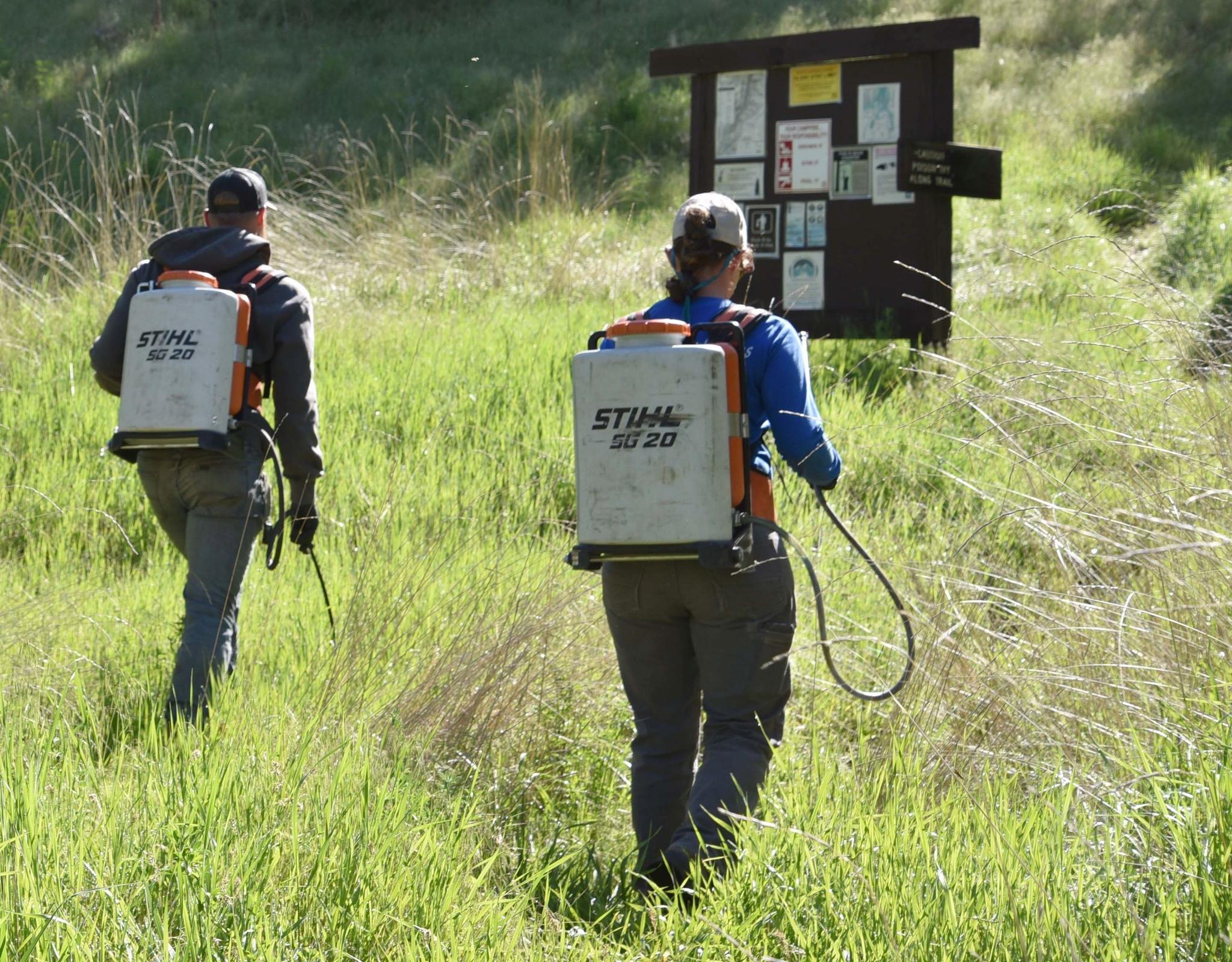 Herbicides are used for invasive plant and noxious weed control in national forests. Credit: U.S. Forest Service.