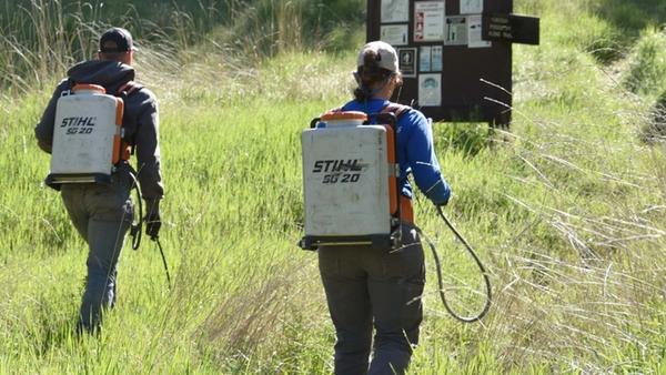 Concerns Raised About Herbicide Spraying in National Forest
