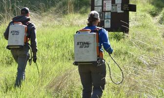 Concerns Raised About Herbicide Spraying in National Forest