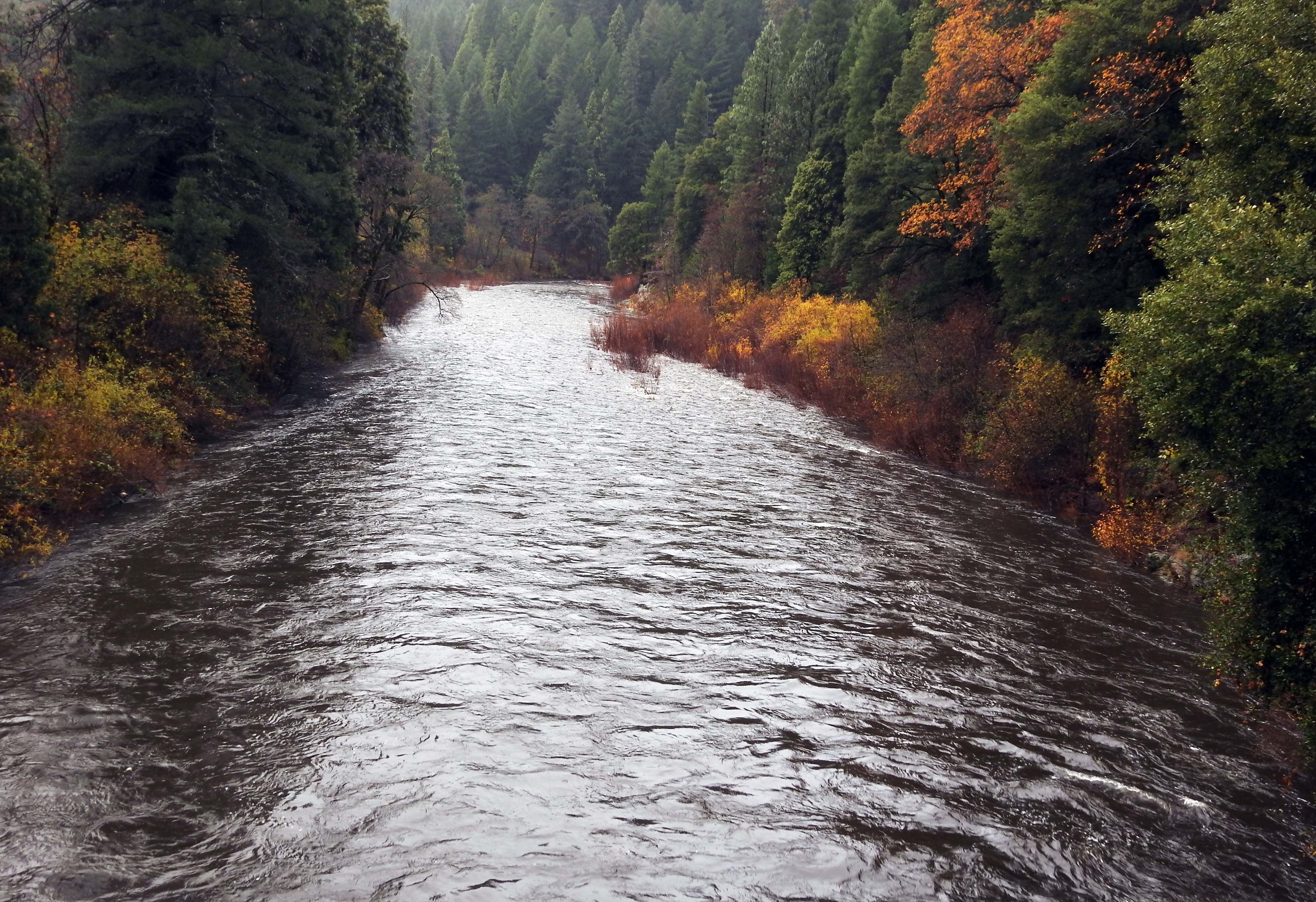 North Yuba River — 11/26/24