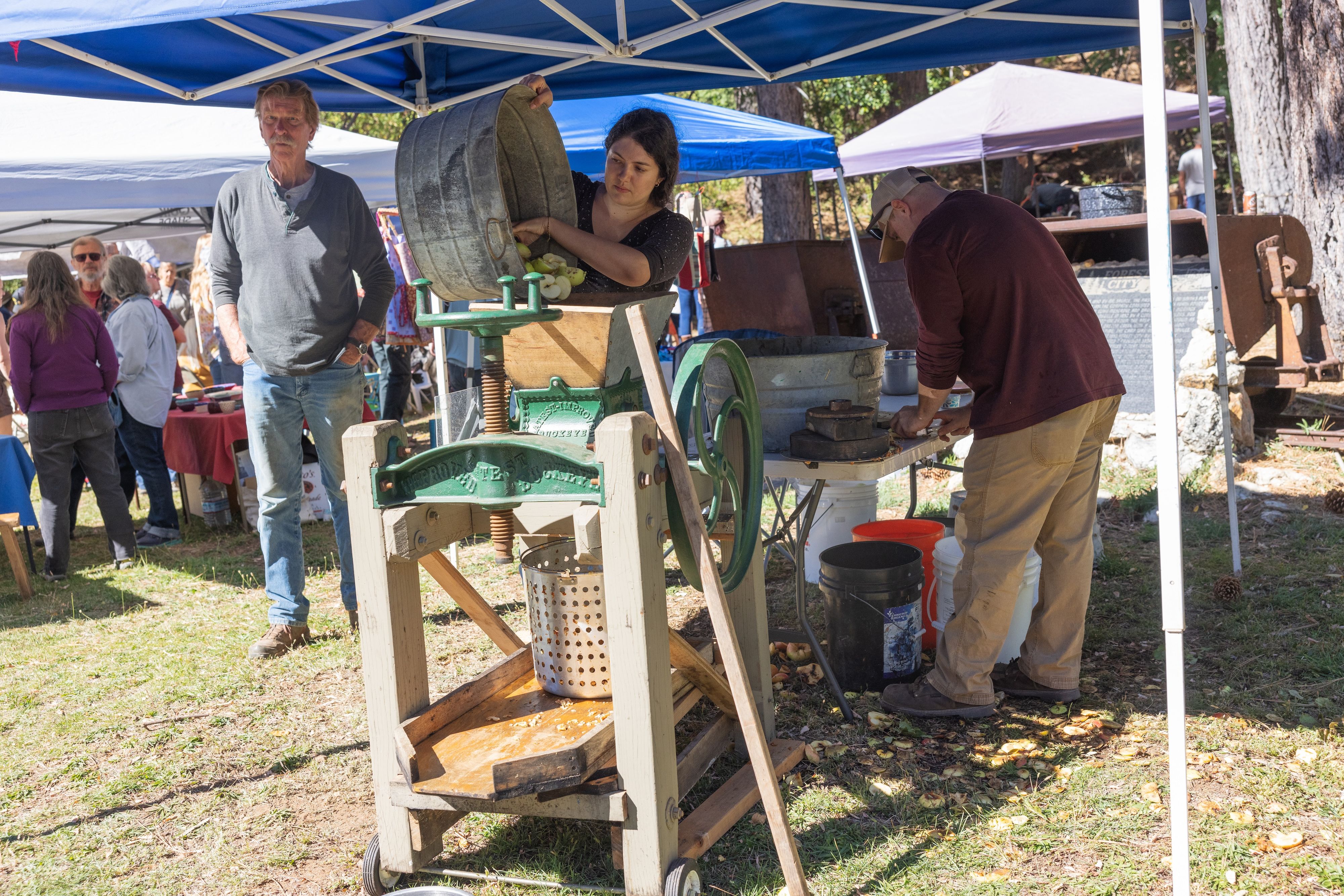 Apples are cut and fed into a Buckeye cider press