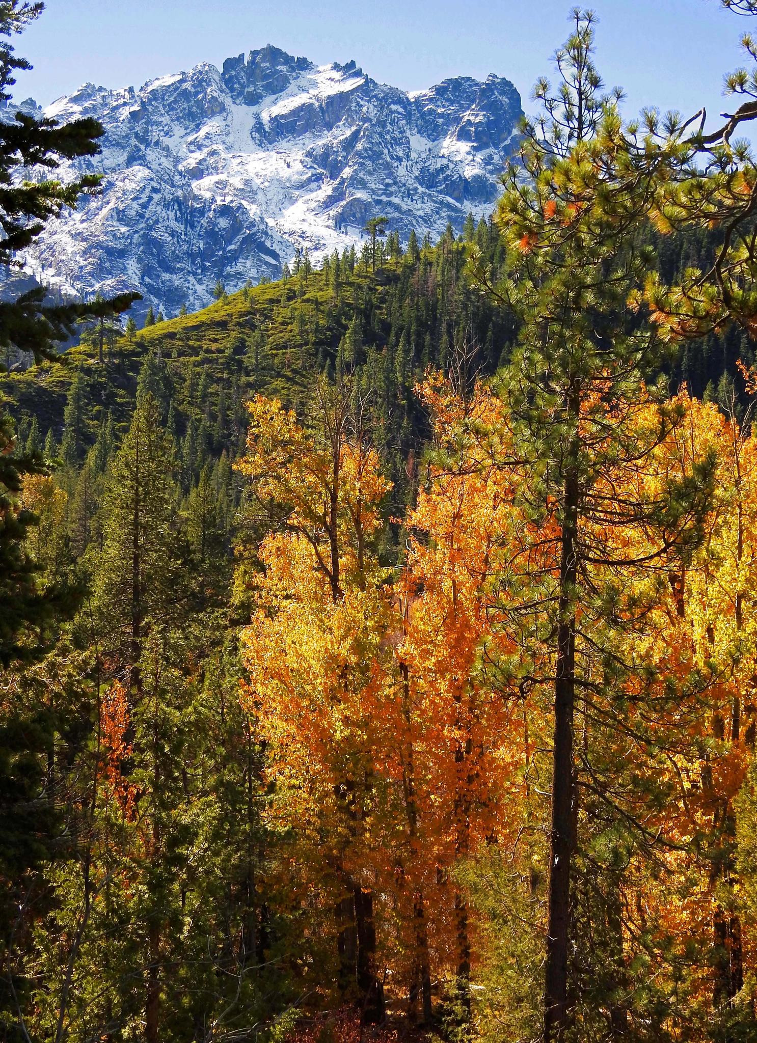 First snow on the Sierra Buttes — 11/4/24