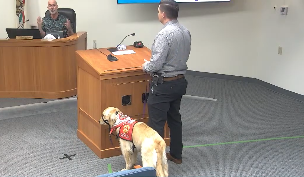 Nugget, Grass Valley Police Department’s therapy dog. Credit: City of Grass Valley.