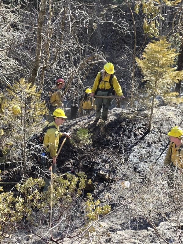 A photo of firefighters working to contain the Squirrel Fire shared by the Plumas National Forest.