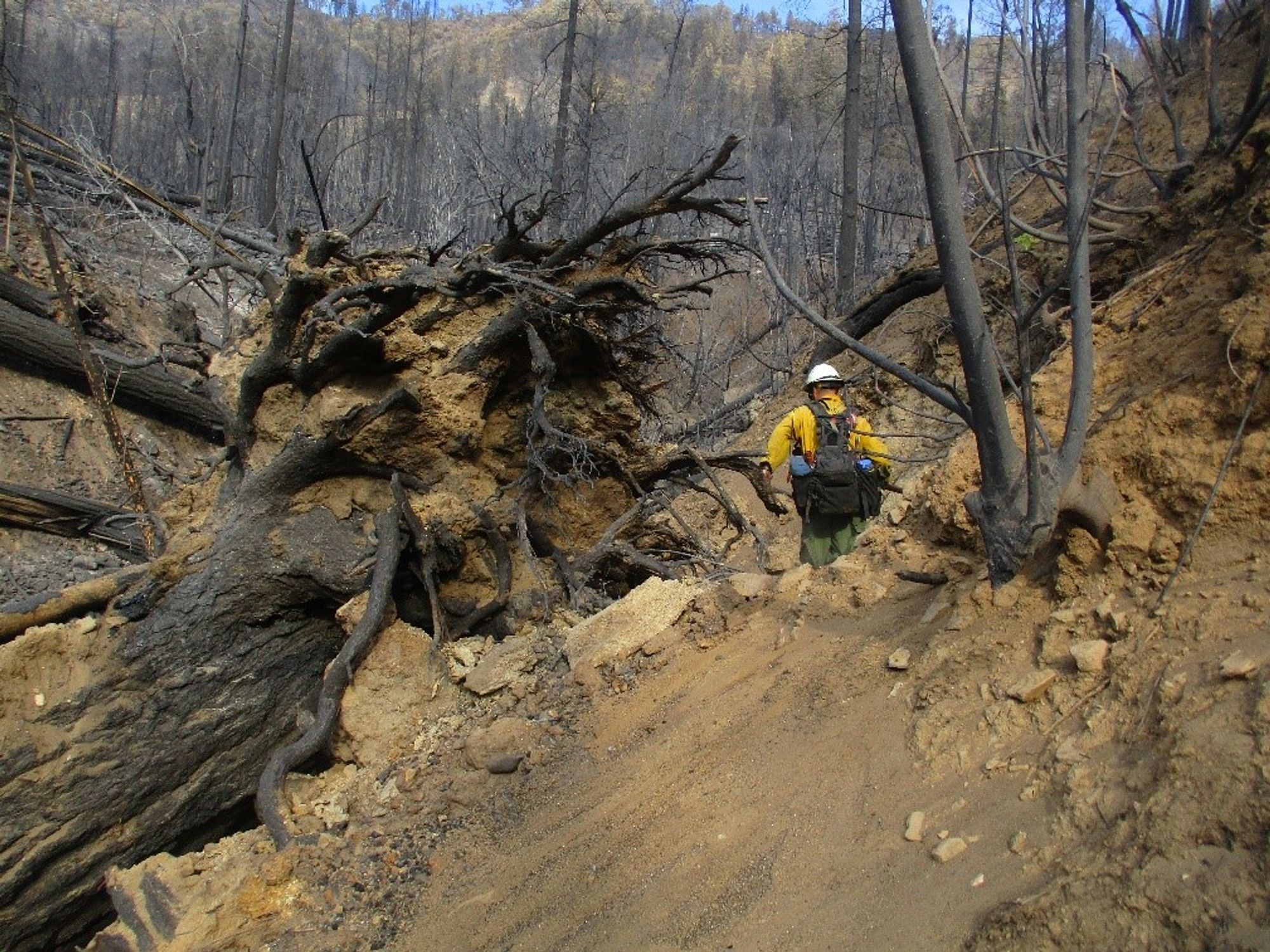 The North Complex fire caused extensive damage to the Feather Falls trail and other recreation sites — photo by USFS.
