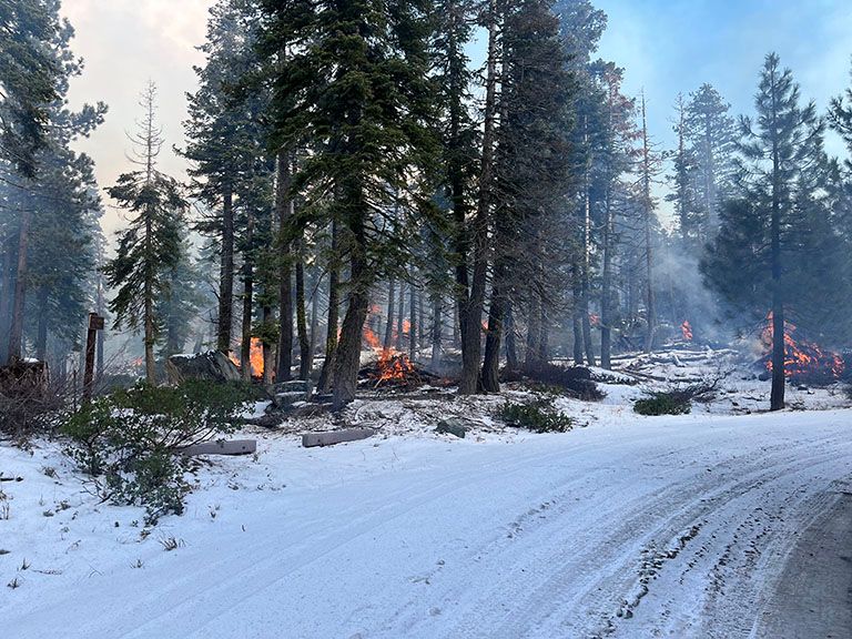 Pile Burning in Lakes Basin. Photo courtesy of Plumas National Forest.