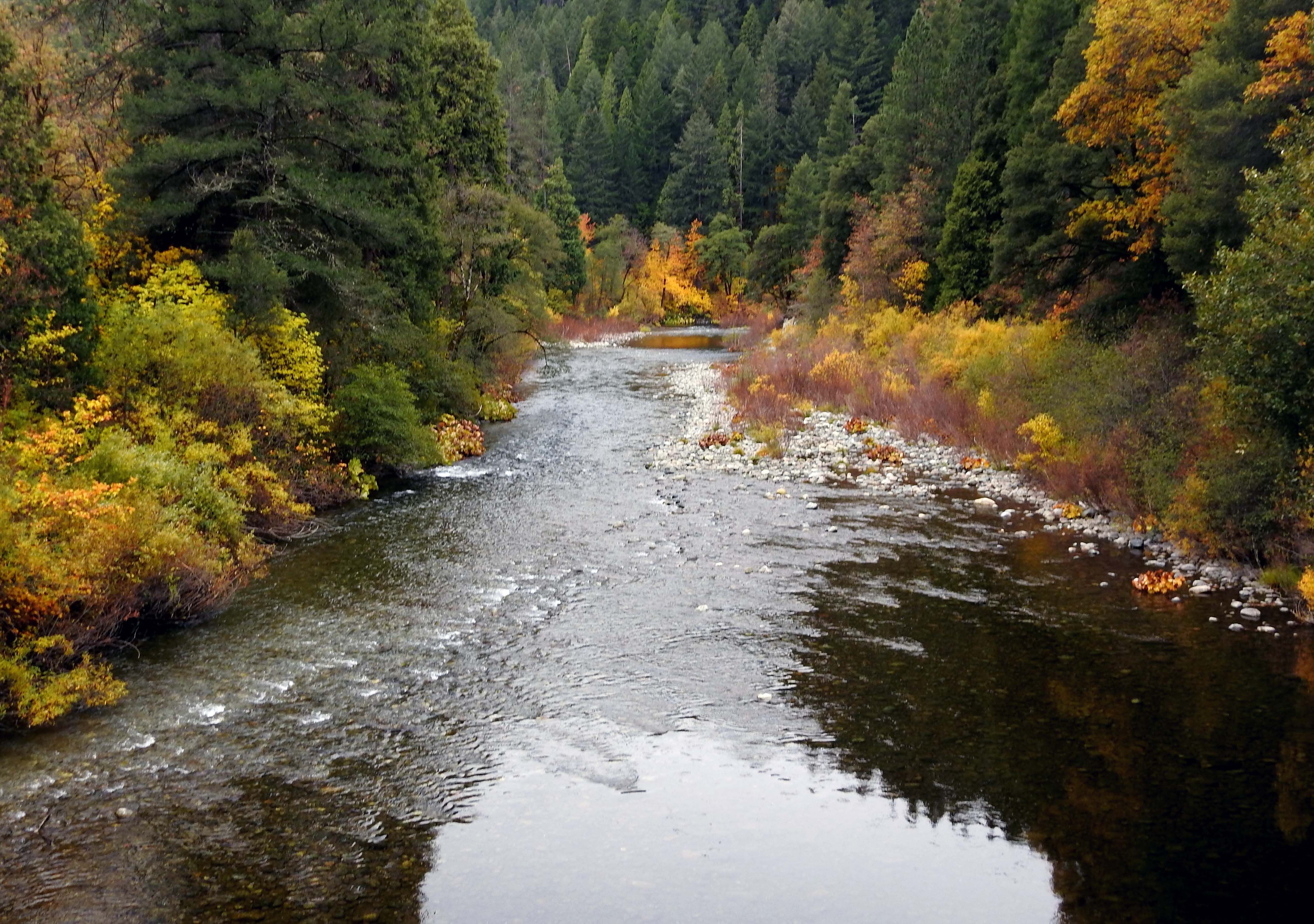 North Yuba River — 11/17/24